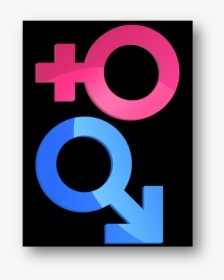 Male Female Symbols Png , Png Download - Circle, Transparent Png, Transparent PNG