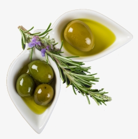 Olive Oil Png, Transparent Png, Transparent PNG