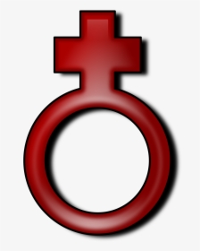 Clipart - Female Symbol - เพศ หญิง รูป การ์ตูน, HD Png Download, Transparent PNG