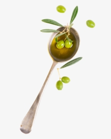 Spoon Olive Oil Png, Transparent Png, Transparent PNG
