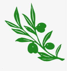 Tree Branches With Leaves Png - Olive Tree Branch Clipart, Transparent Png, Transparent PNG