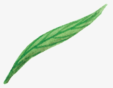Green Flower Leaf Cartoon Png Transparente - Flower, Png Download, Transparent PNG