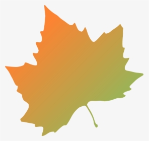Autumn Leaf Png - Autumn Leaves Clip Art, Transparent Png, Transparent PNG