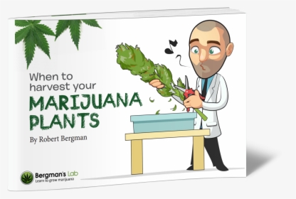 Robert Bergman I Love Growing Marijuana, HD Png Download, Transparent PNG