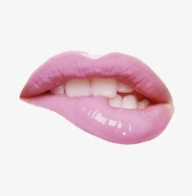 #lip #pink #cute #mouth #freetoedit - Im So Attracted To You, HD Png Download, Transparent PNG