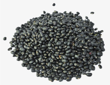 Black Turtle Bean Minestrone Sprouting - Frijoles Negros, HD Png Download, Transparent PNG