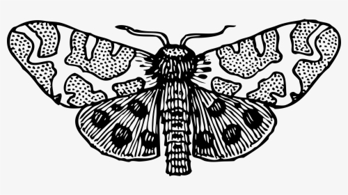Moth Wings Open Clip Arts - Moth Clipart Black And White, HD Png Download, Transparent PNG