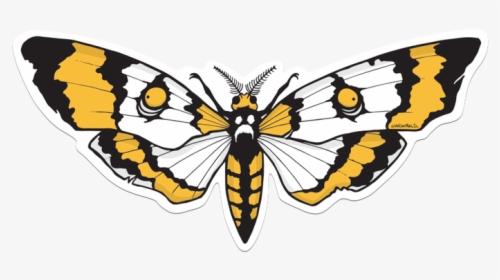 Goth Moth Sticker - American Painted Lady, HD Png Download, Transparent PNG