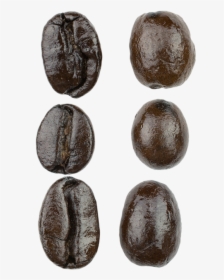 Espresso Blend Macro - Kidney Beans, HD Png Download, Transparent PNG
