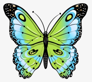 Clip Art Beautiful Moths - Butterfly Drawing Green, HD Png Download, Transparent PNG
