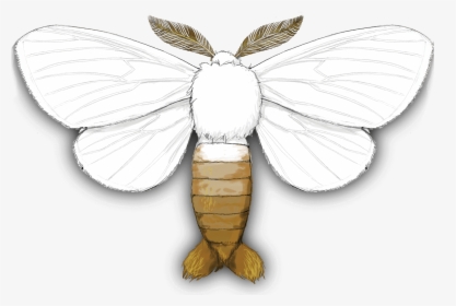 Brown-tail Moth - Brown Tail Moth, HD Png Download, Transparent PNG