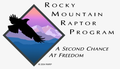 Rmrp Clear Logo - Rocky Mountain Raptor Program Logo, HD Png Download, Transparent PNG