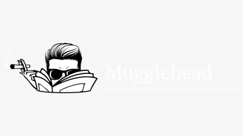 Mugglehead - Office Chair, HD Png Download, Transparent PNG