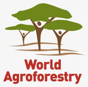 Home - World Agroforestry, HD Png Download, Transparent PNG