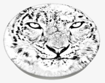 Snow Leopard, Popsockets - Mac Os X Snow Leopard, HD Png Download, Transparent PNG