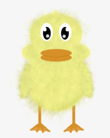 Duck, HD Png Download, Transparent PNG