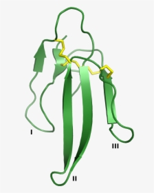 1qkd 3ftx - Three Finger Toxin Structure, HD Png Download, Transparent PNG