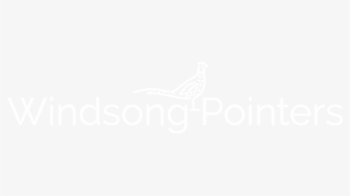 Windsong Pointers Logo White - Johns Hopkins Logo White, HD Png Download, Transparent PNG
