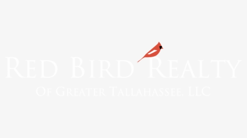 Website Logo - Cardinal, HD Png Download, Transparent PNG