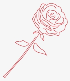 Rose - Garden Roses, HD Png Download, Transparent PNG