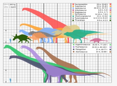 Dinosaur Size Comparison Biggest, HD Png Download, Transparent PNG