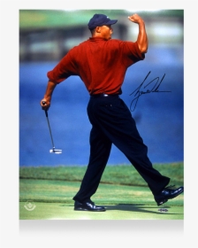 Famous Tiger Woods Fist Pump Poster, HD Png Download, Transparent PNG