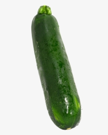 Zucchini 1 Lb - Cucumber, HD Png Download, Transparent PNG
