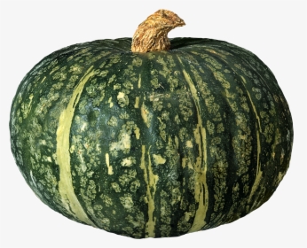 Pumpkin Png Image - Green Pumpkin Png, Transparent Png, Transparent PNG