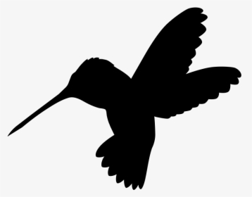Hummingbird Care Home Just Hummingbird Logo - Pigeons And Doves, HD Png Download, Transparent PNG