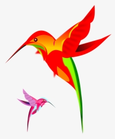 Hummingbird Art Png Clipart - Rufous Hummingbird, Transparent Png, Transparent PNG