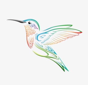 Hummingbird Tattoo, HD Png Download, Transparent PNG