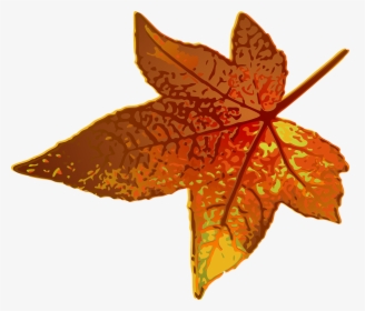 Maple Leaf Clip Art, HD Png Download, Transparent PNG