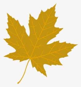 Seneca College Canada Logo, HD Png Download, Transparent PNG