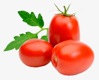 Tomate Png, Transparent Png, Transparent PNG