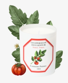 Tomato - Carriere Freres Tomato, HD Png Download, Transparent PNG