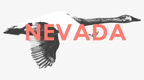 Nevada - Golden Eagle, HD Png Download, Transparent PNG