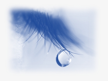 Tear Drop On Eye Lash - Love Love Pain Alone, HD Png Download, Transparent PNG