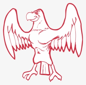 Strong Bird Wings, HD Png Download, Transparent PNG