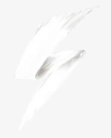 Seabird, HD Png Download, Transparent PNG