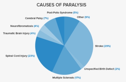 Leading Causes Of Paralysis, HD Png Download, Transparent PNG