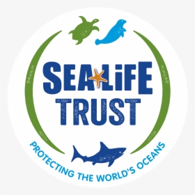 Sea Life Trust Rgb - Sea Life Trust Logo, HD Png Download, Transparent PNG