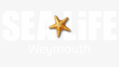 Sea Life Blackpool Logo, HD Png Download, Transparent PNG