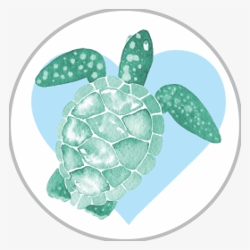 Sea Life Watercolor , Png Download - Realistic Turtle Clip Art, Transparent Png, Transparent PNG