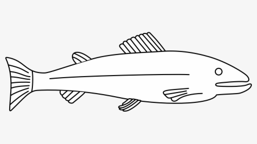 Outline Of A Fish, HD Png Download, Transparent PNG