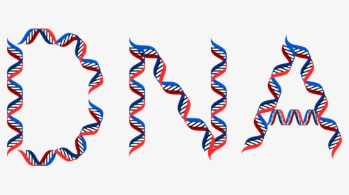 Computer Icons Dna Origami Typography Organ - Typography Dna Font, HD Png Download, Transparent PNG