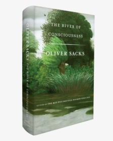 River Of Consciousness, HD Png Download, Transparent PNG