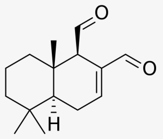 Labdane Diterpenoids Structure, HD Png Download, Transparent PNG