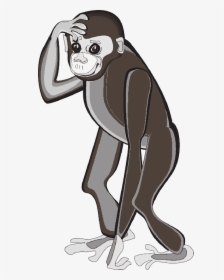 Cartoon, Art, Standing, Animal, Chimp, Scratching - Monkey, HD Png Download, Transparent PNG