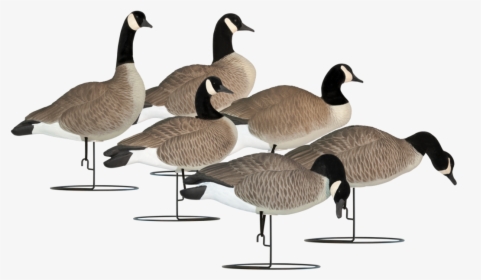 Hardcore Full Body Goose Decoys, HD Png Download, Transparent PNG