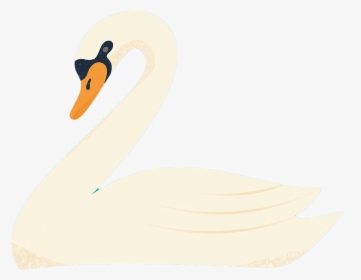Swan, HD Png Download, Transparent PNG